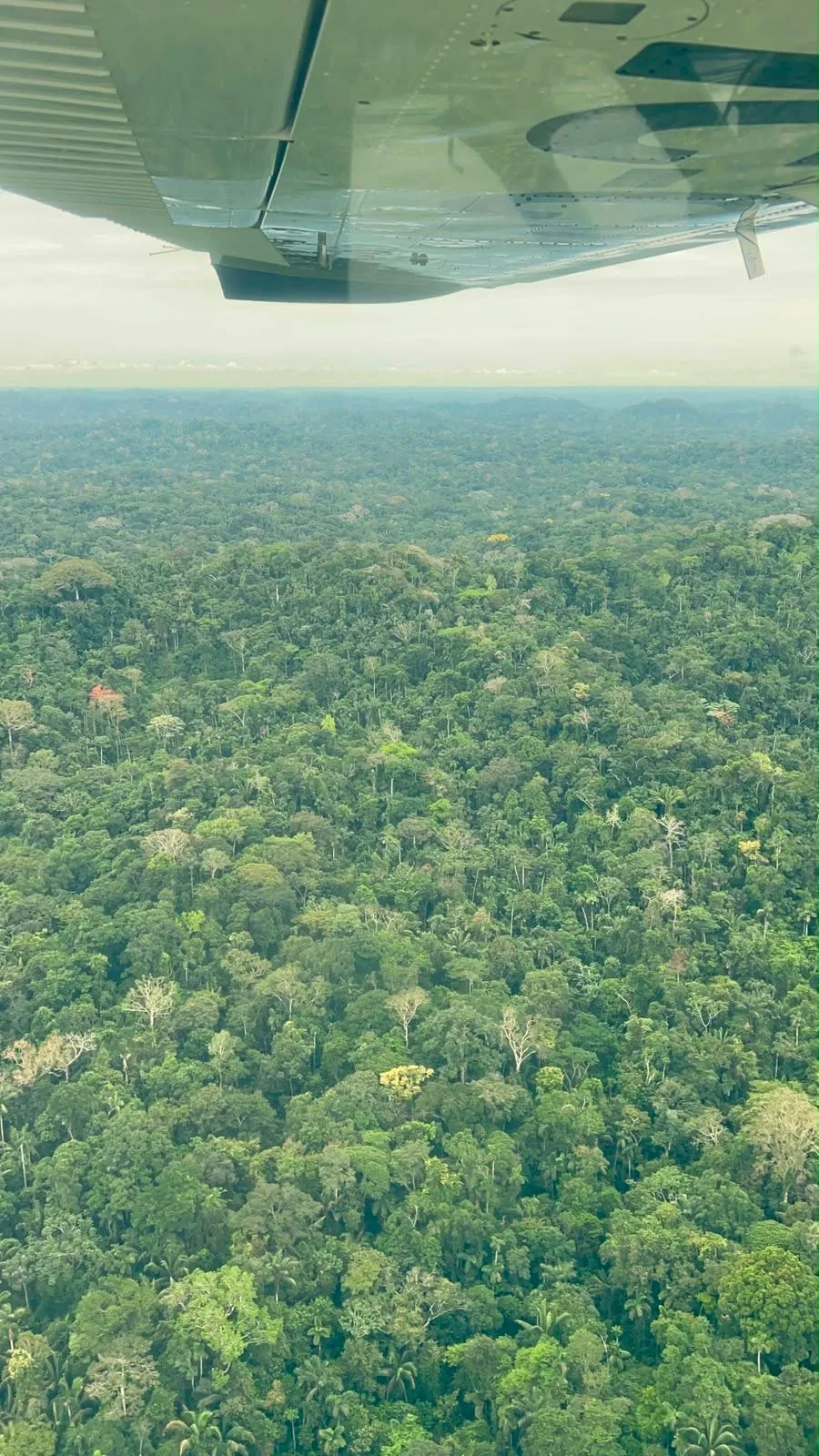 Vista aérea de la selva amazónica