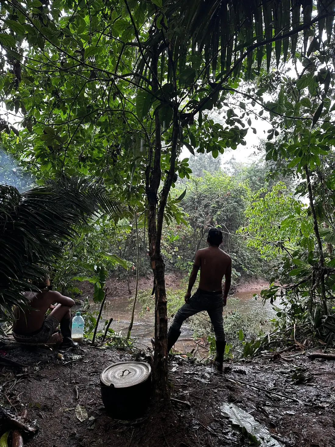 Camino en la selva amazónica
